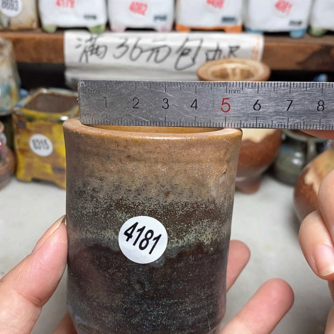 拍5送一个小礼物