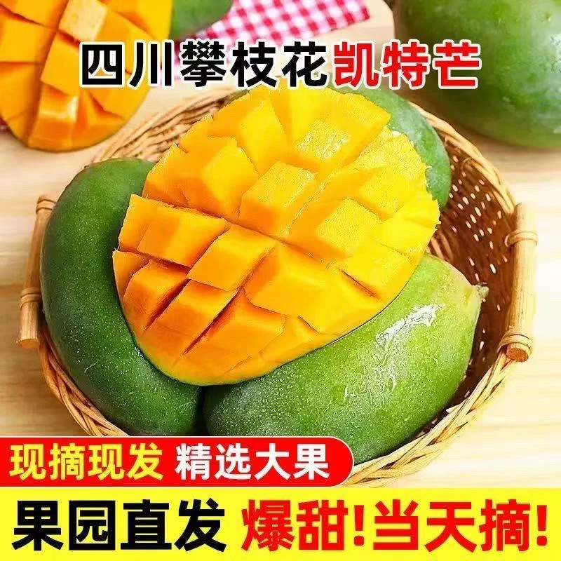 Z攀枝花凯特大芒果青芒多汁当季热卖水果产地直发当季新鲜水果