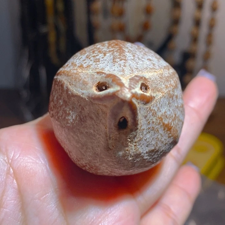 矮桩巨无霸红油大橄榄核4469