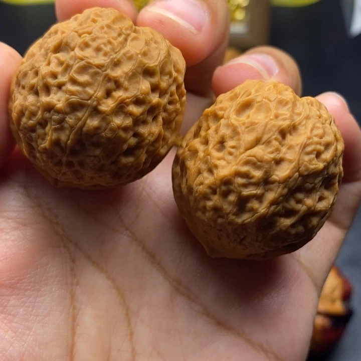 文玩核桃把件40尺蛇皮元宝