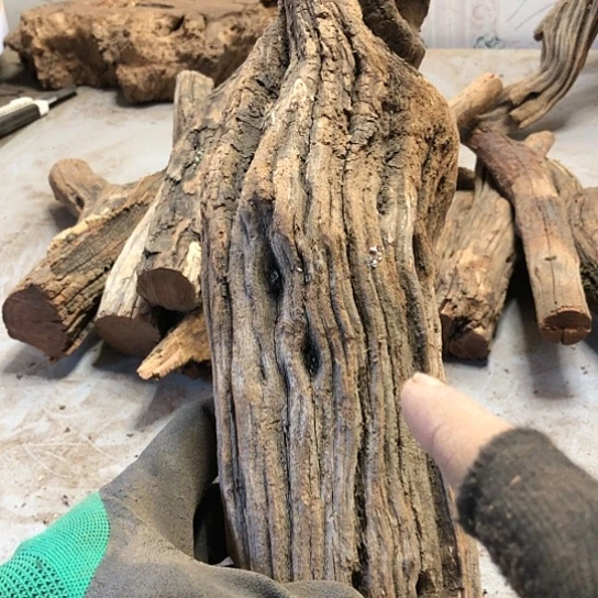 大果紫檀（缅甸花梨）经**孩