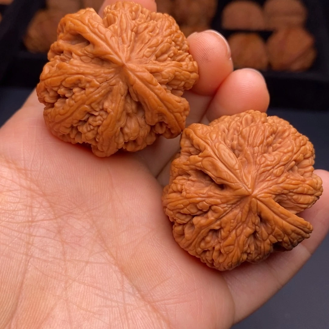 文玩核桃把件秦岭野生核桃