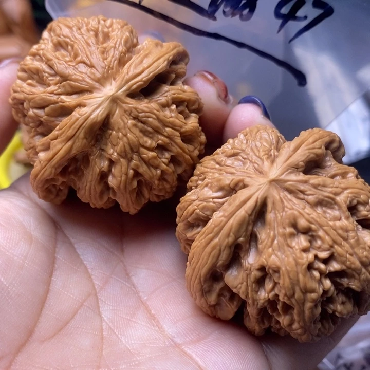 吊坠文玩核桃大粗筋