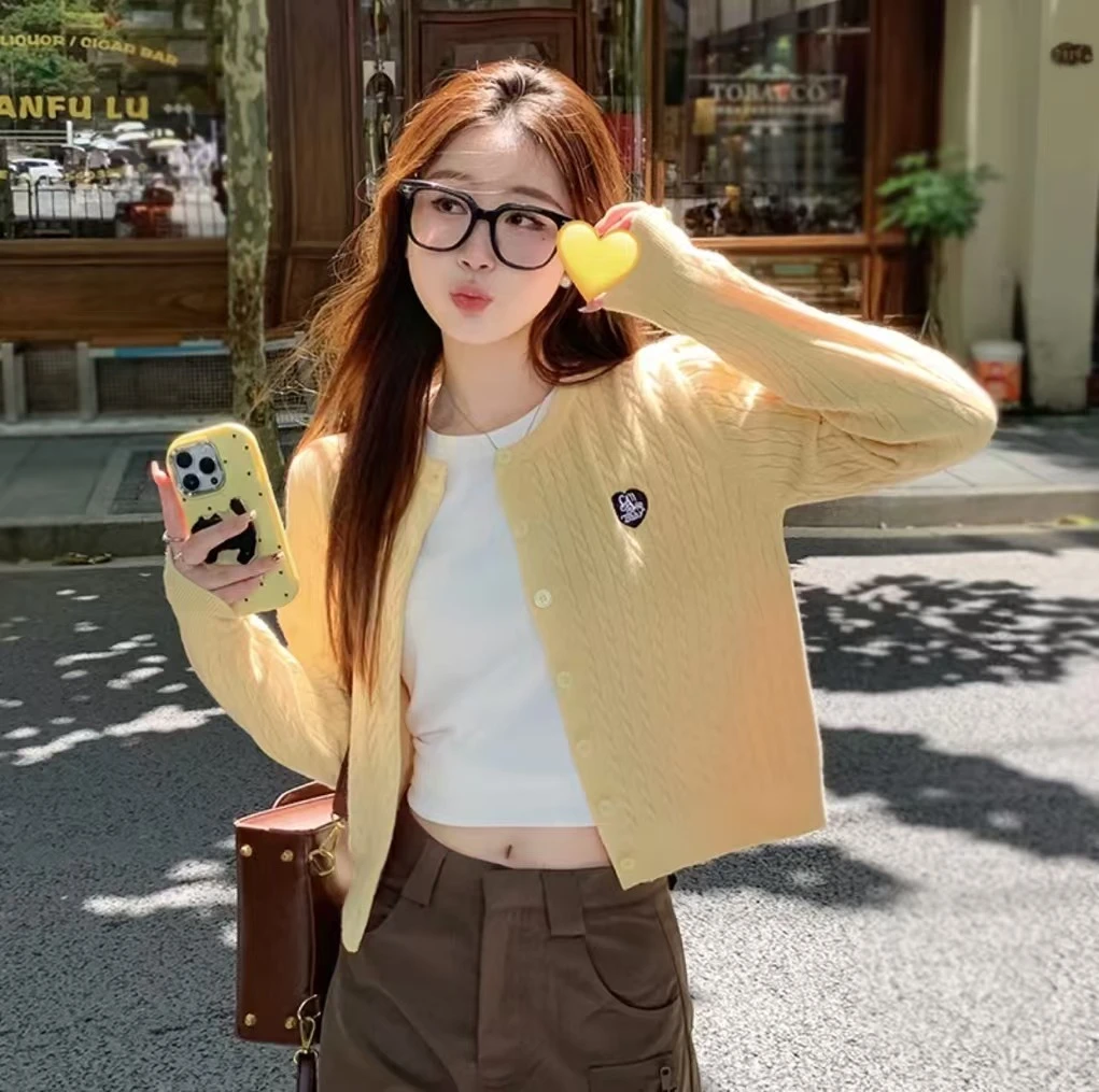 韩版刺绣藏青色麻花针织开衫女2025新款高级感内搭毛衣外套B5-23