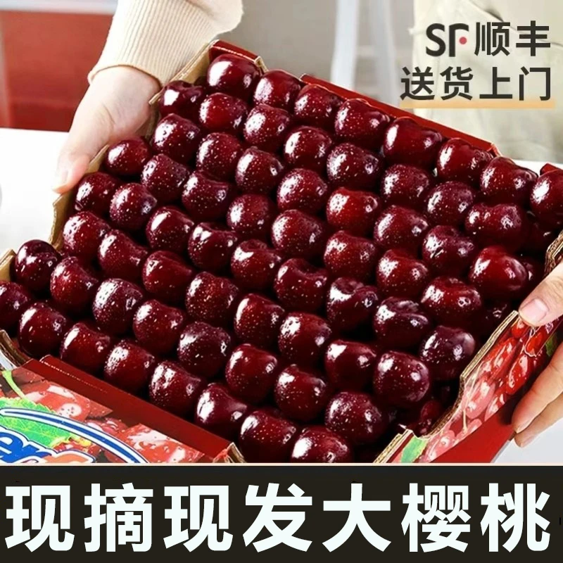 顺丰包邮大樱桃净重5斤J-4J香甜多汁脆甜新鲜好吃海运 内附果径卡