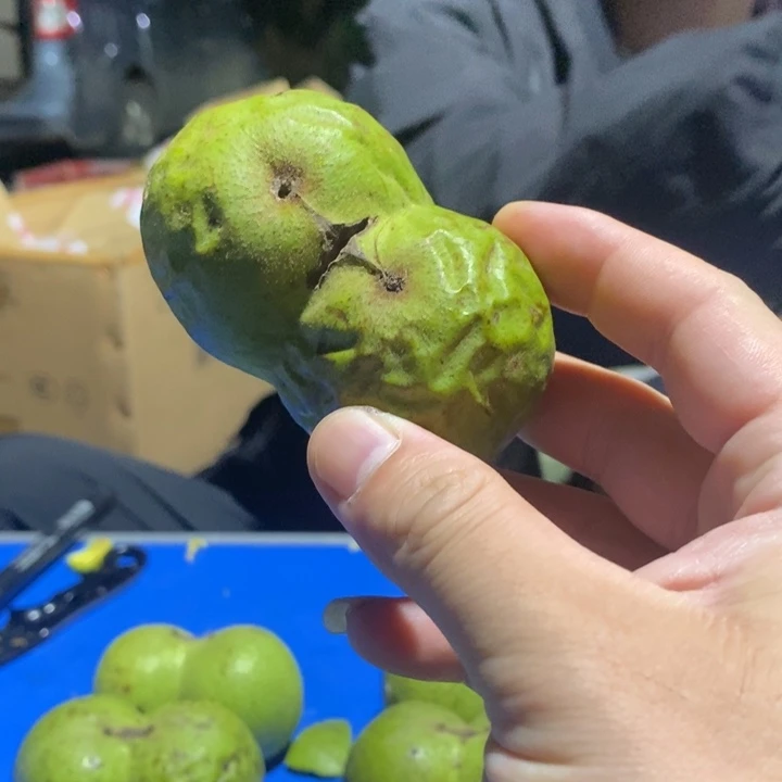 吊坠文玩核桃西**圣