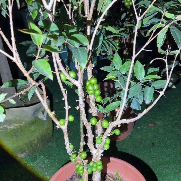 江***水完全开放8888888888888