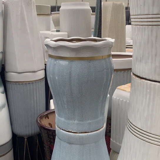 花口蓝南瓜中口25高32福利