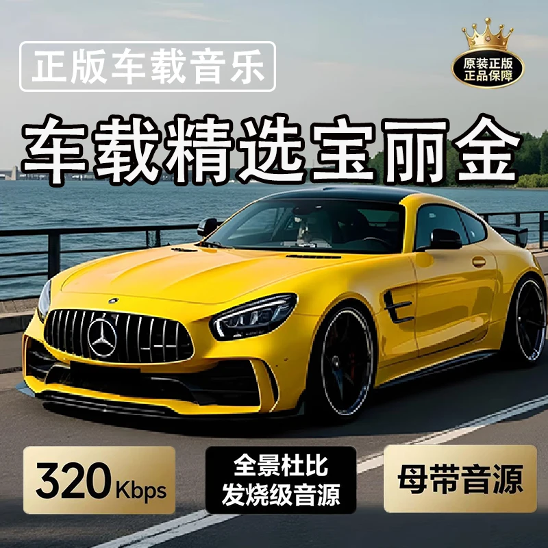 2025新款无损高音质网络流行经典歌曲精选歌单发烧人声车载U盘