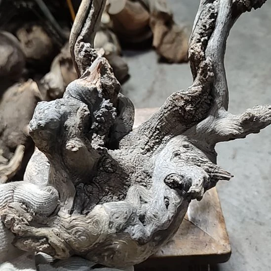 柏木崖柏工艺品坨子崖柏