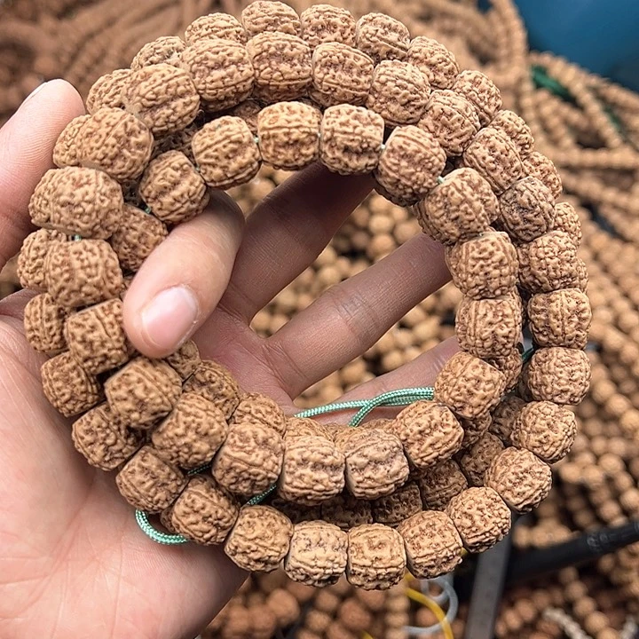 金刚菩提手串`**﹌藏式