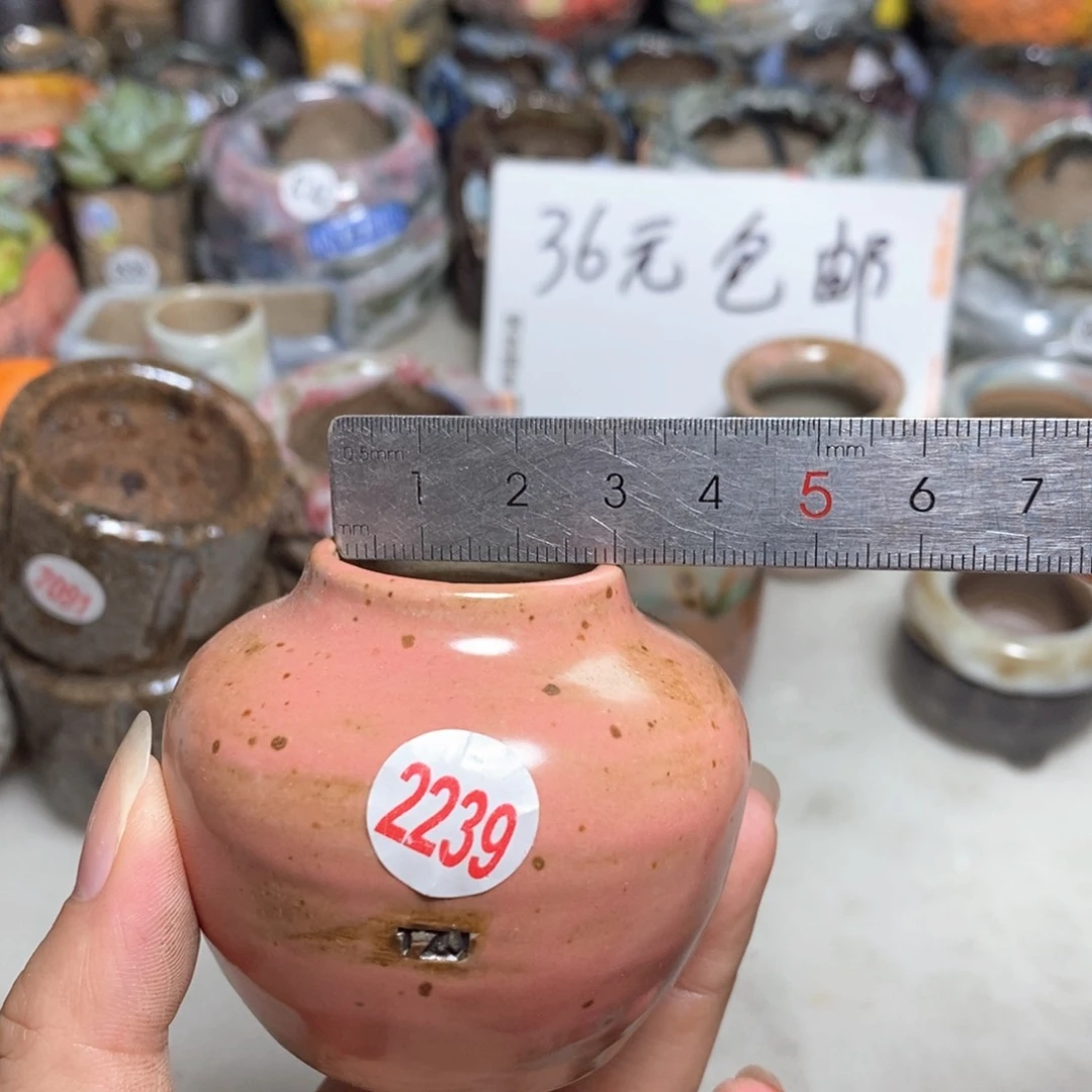 拍5送一个小礼物