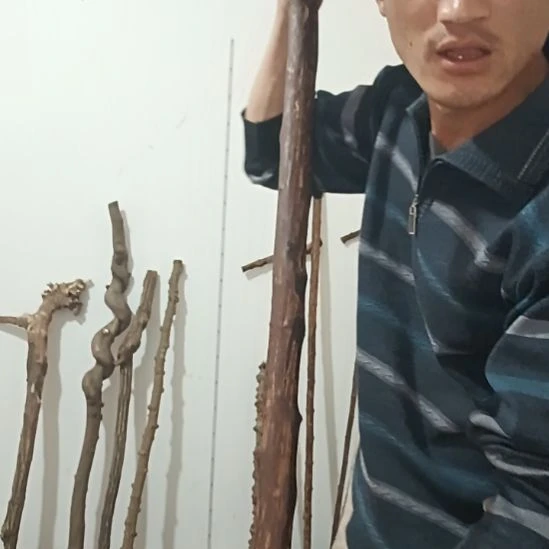 精品原木直播精品