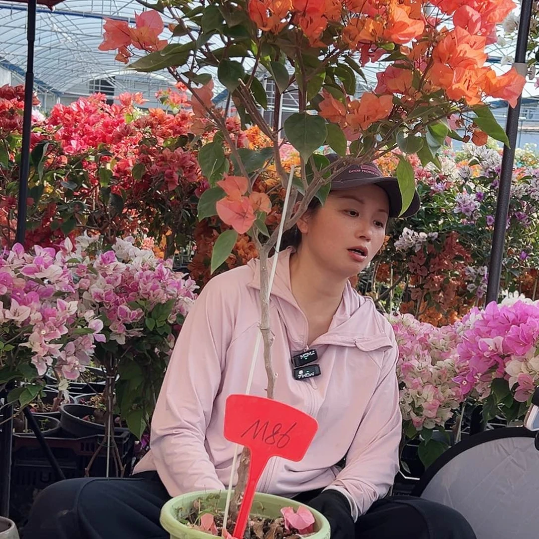 樱***赞大部分花苞少量开放M86波妹