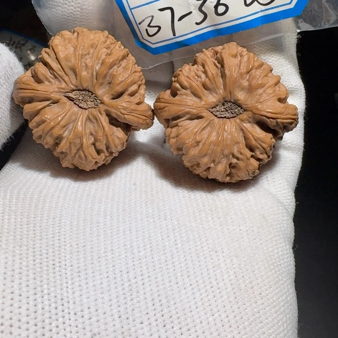 文玩核桃把件35号魔瞳