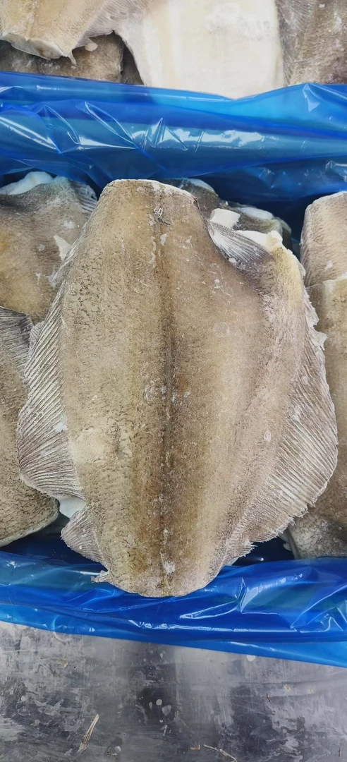 2号链接鲽鱼身深海鲽鱼身直播间现挑现秤 