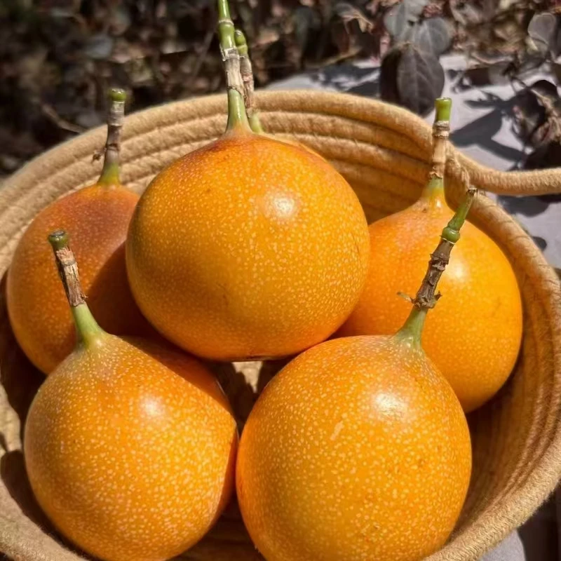 热情果花皮果【更实惠】（顺丰速运）新鲜采摘基地直发