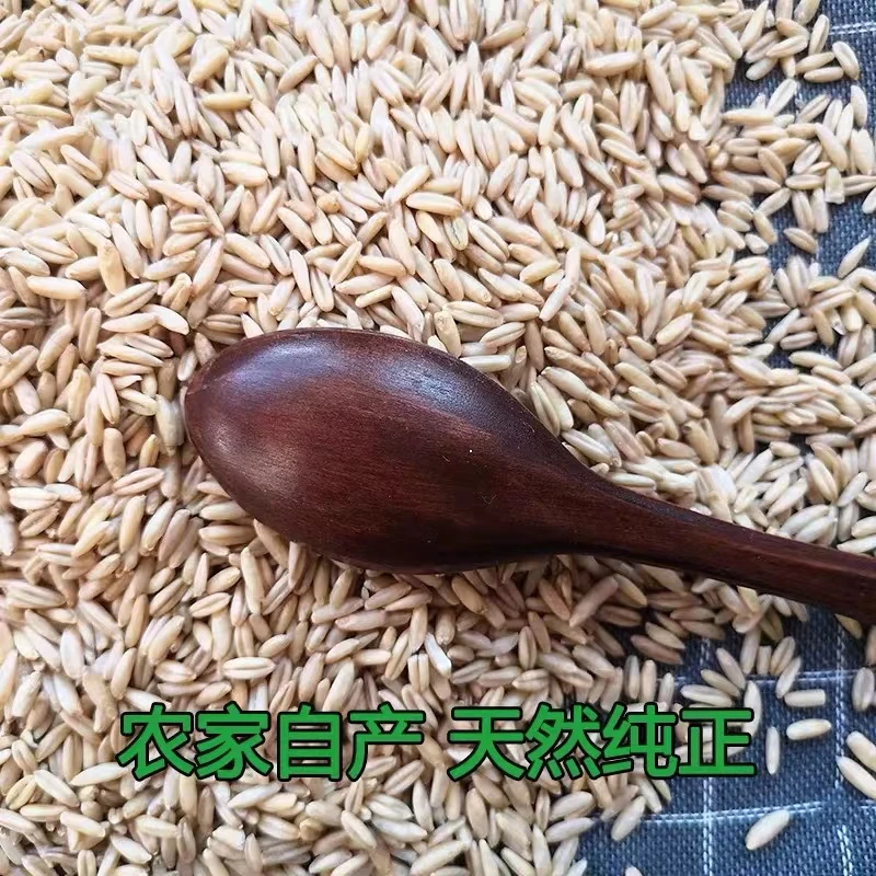 【农民电商】陕北新米燕麦米全胚芽燕麦米农家米伴侣五谷杂粮粗粮