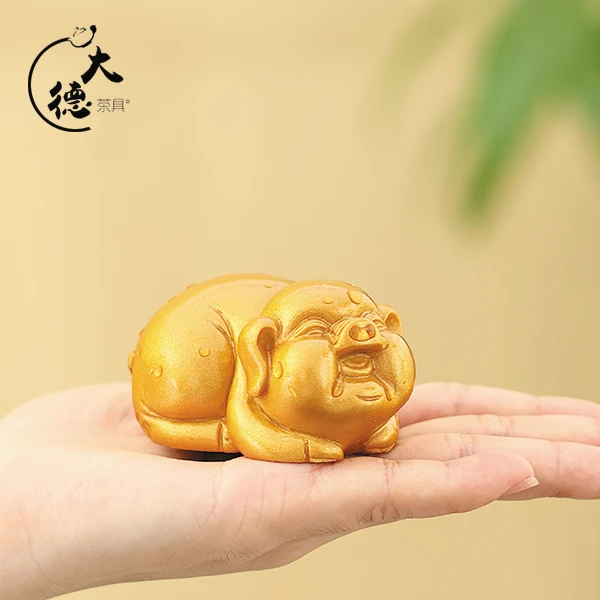 X697-金色小猪茶宠SPTC（2）