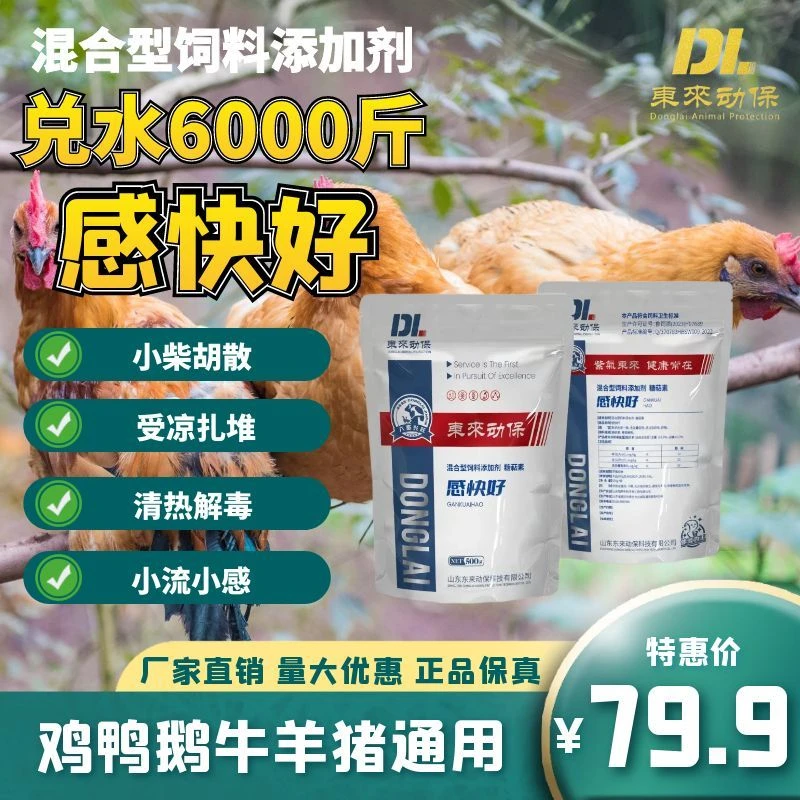 感快好退烧提料防感冒高烧高热退热解表小柴胡散养鸡与鸡病防治