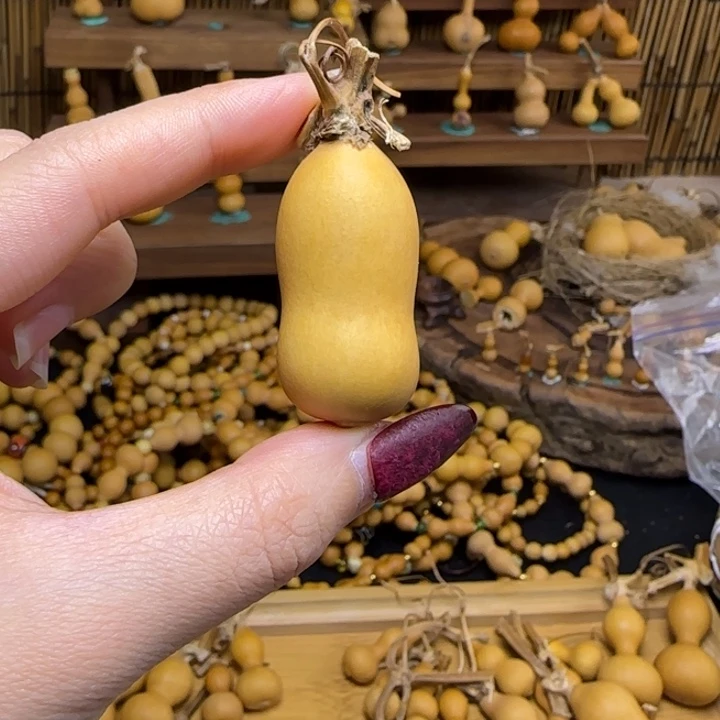 ****️就会哈哈哈哈哈哈哈哈