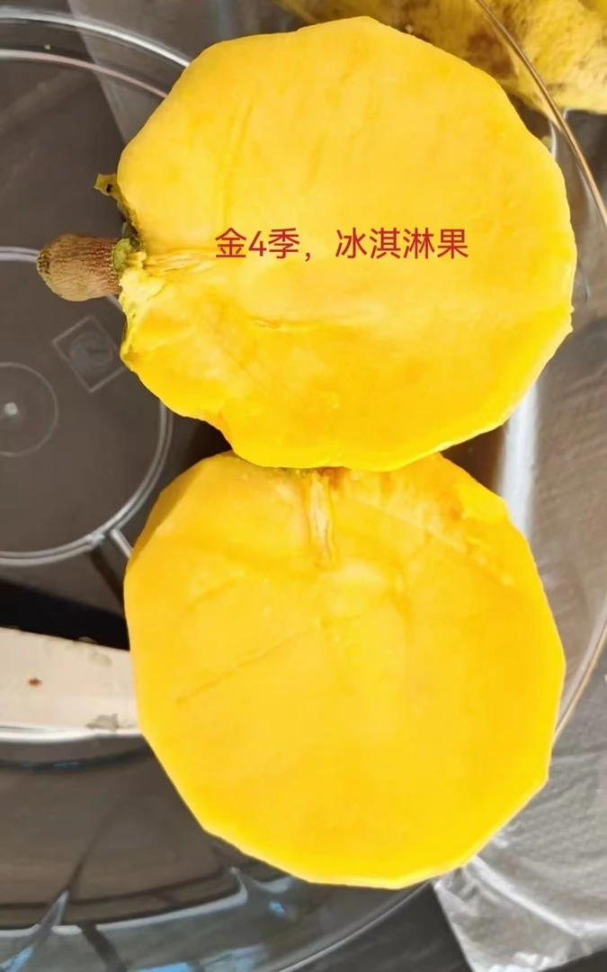 白柿冰淇淋果金四季