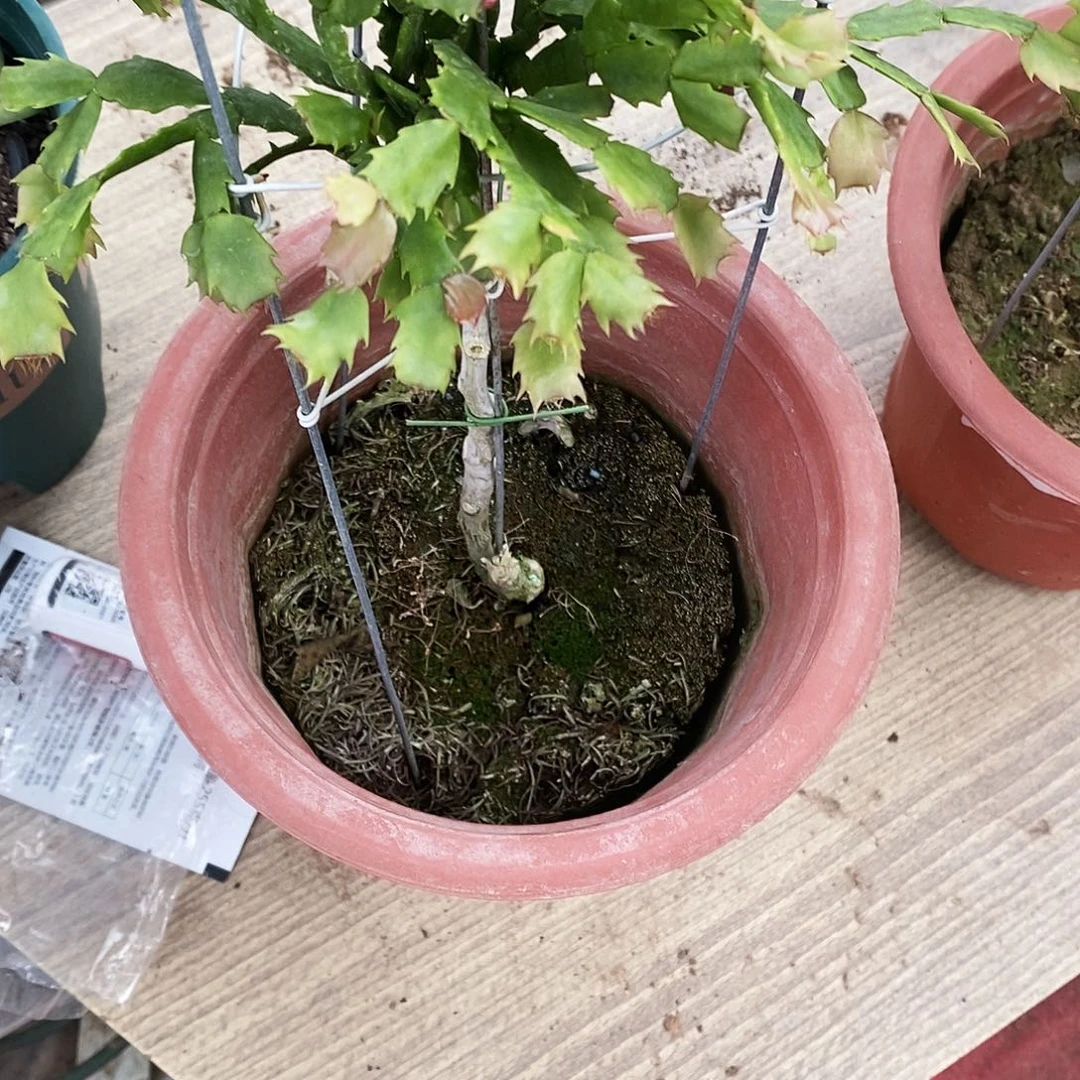 悦***食完全开放福利款单层