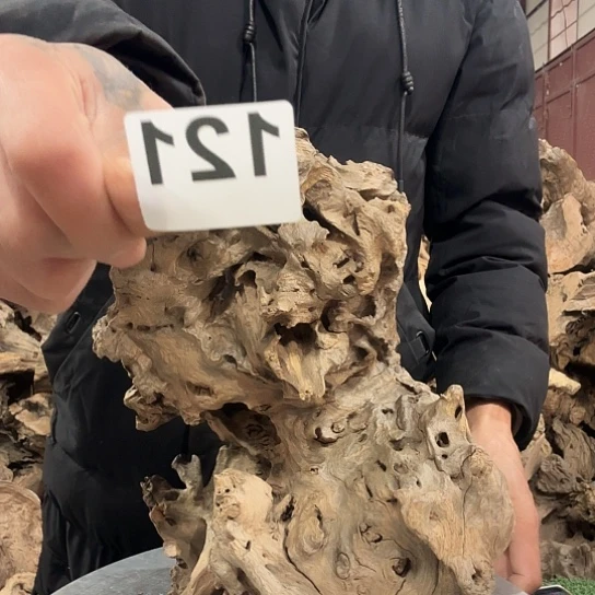 列****。紫砂噜啦啦啦啦啦啦