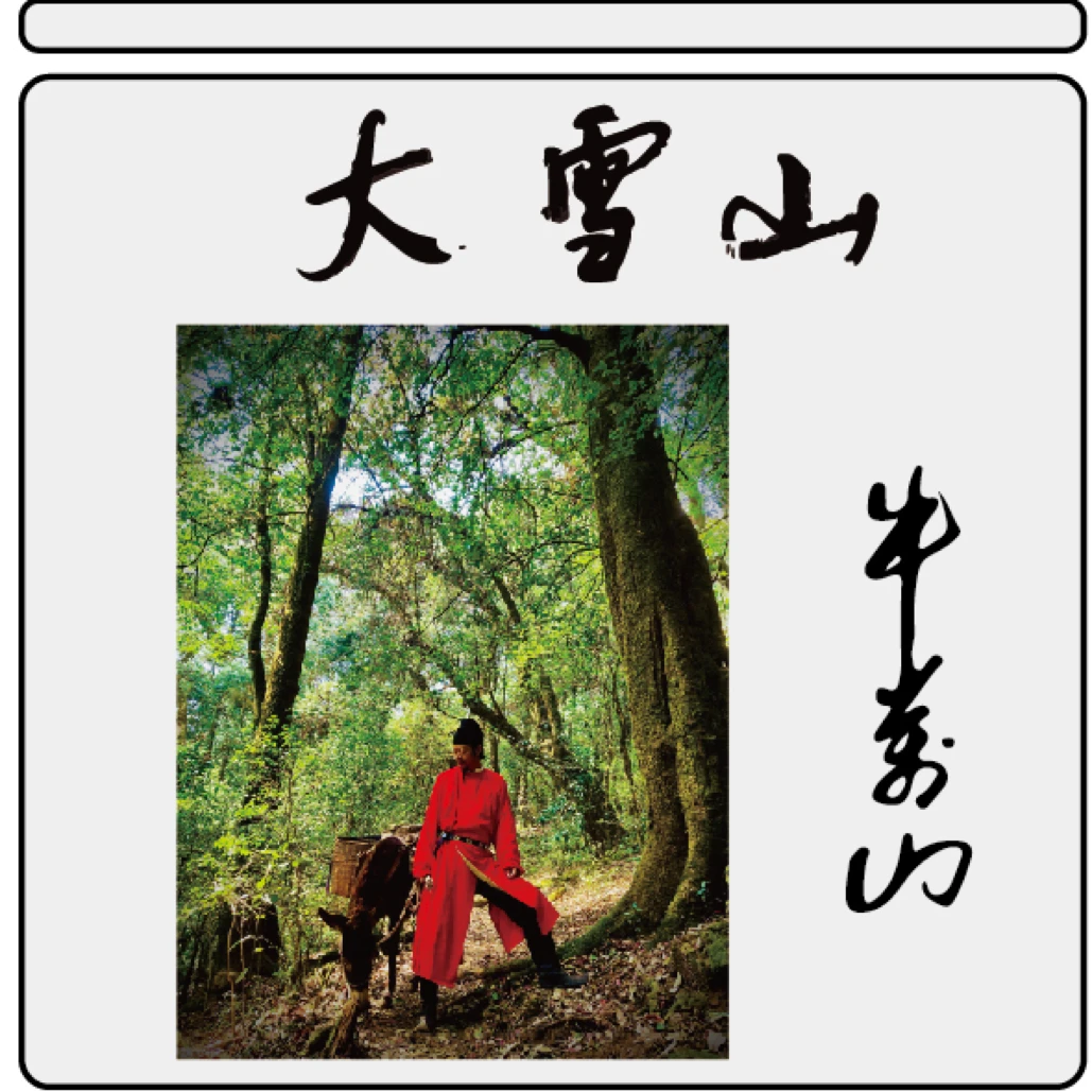 【生茶】2023年大雪山普洱生茶尝鲜版