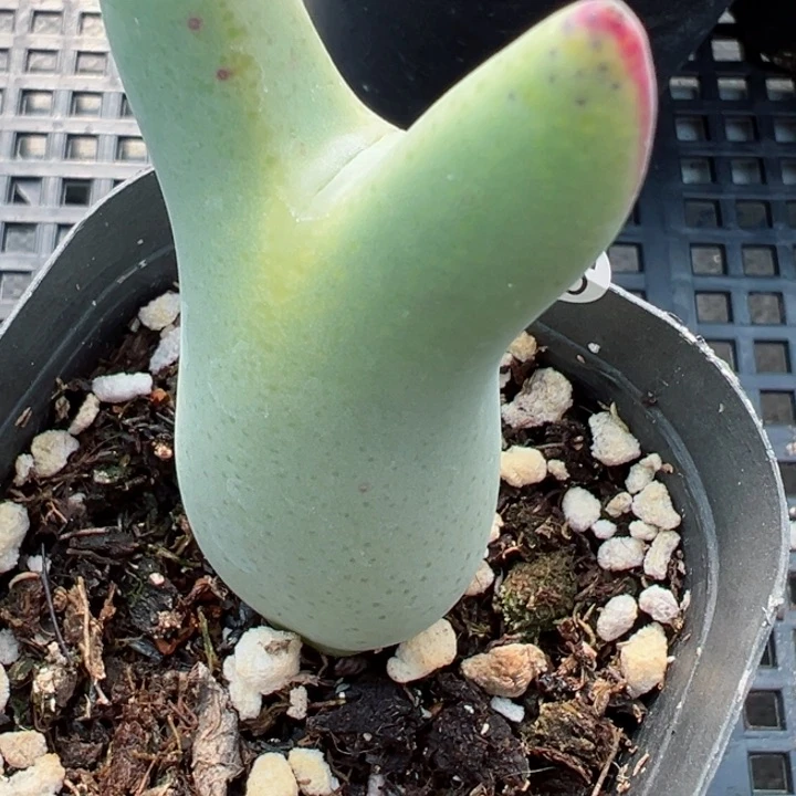 326号11111111111111