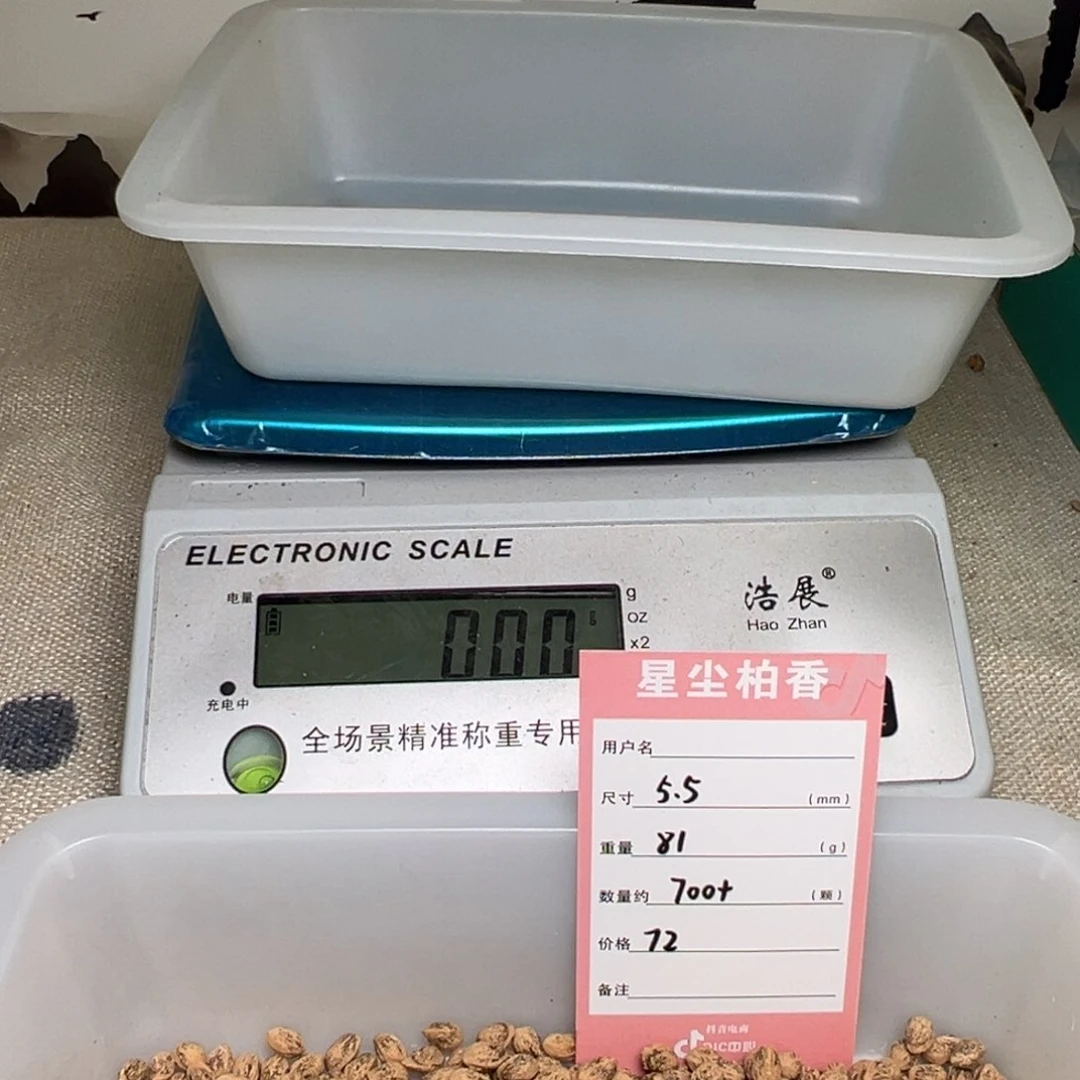 柏香籽/百香籽吊坠大***7