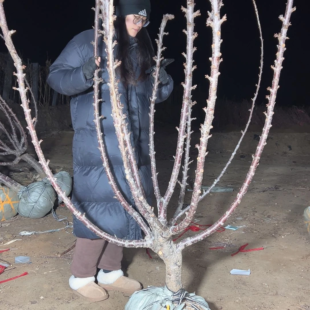 过***尘直播间专拍直播间专拍