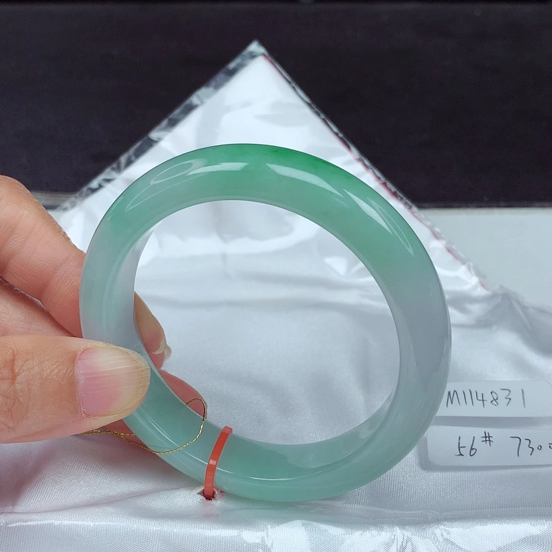 未镶嵌手镯翡翠56圈4831