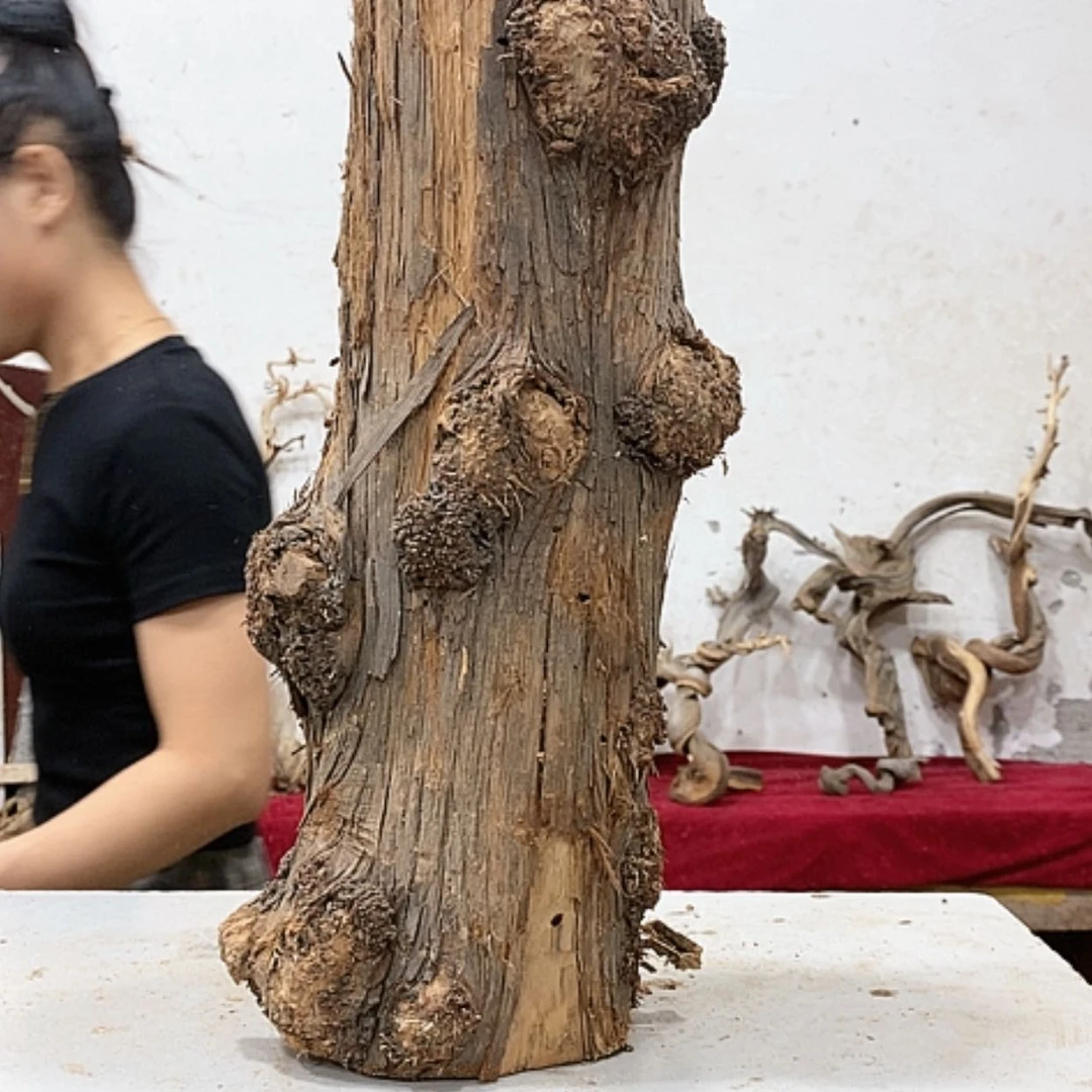 【闪购商品】柏木悠**心我们都是好孩子