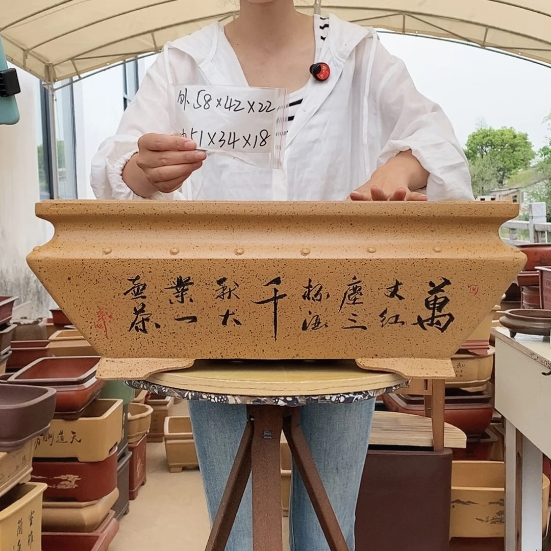 紫砂花盆紫砂花盆