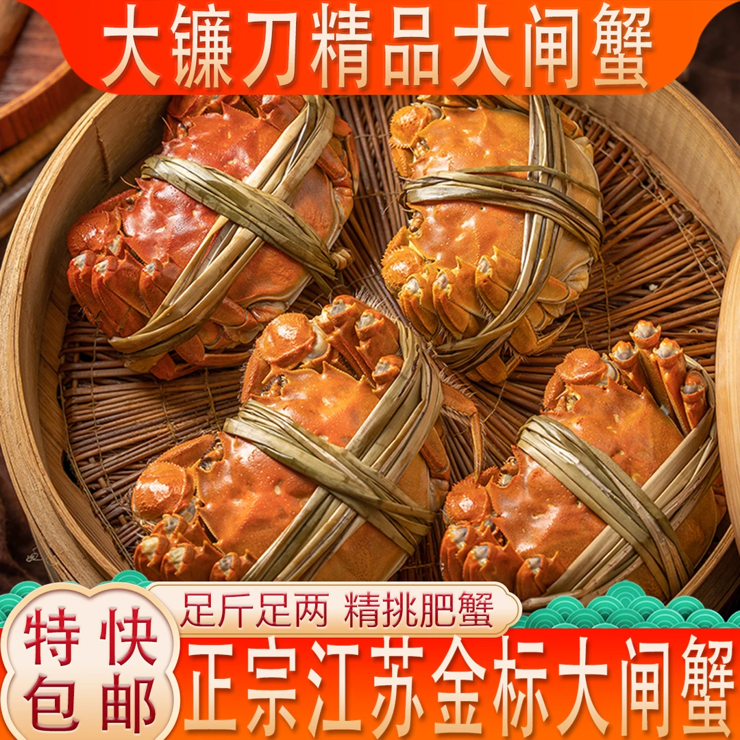 【活蟹】江苏精挑大闸全母蟹4.2-3.9两，6只加2只，共8大只