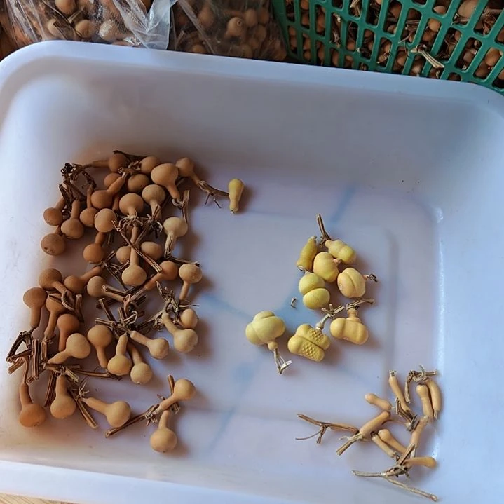 U***i天然葫芦选品链接截图