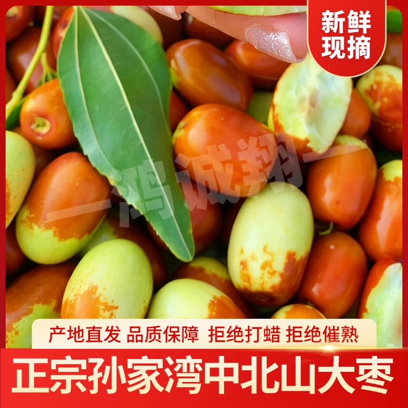 朝阳大枣孙家湾平顶甜枣鲜枣红枣新鲜正宗现摘新枣脆枣冬枣特产