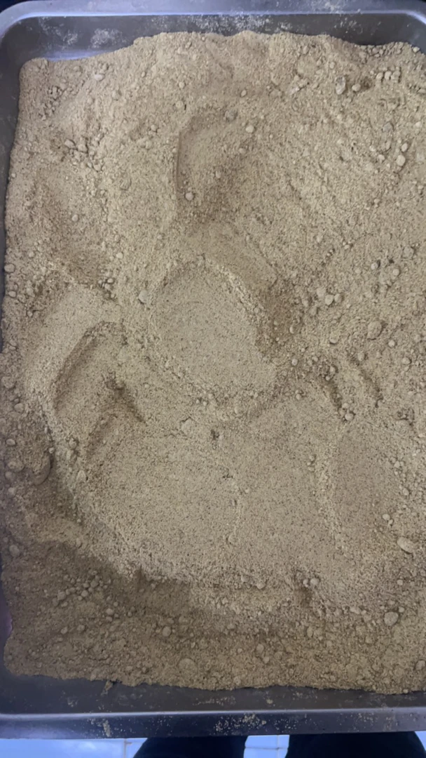 天津本地黑虫饲料（250克）