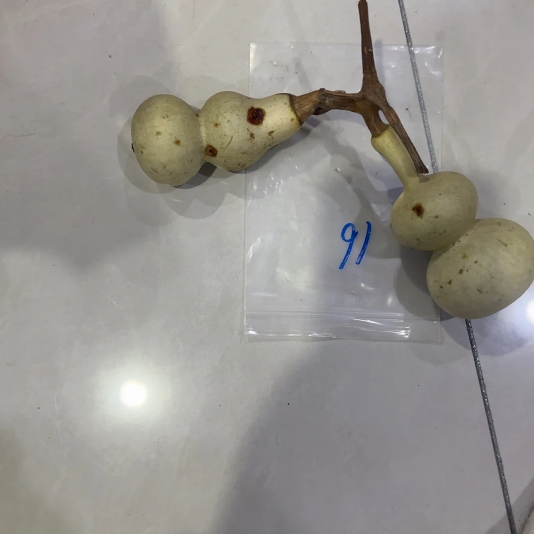 Z****青皮不包成青皮不包成