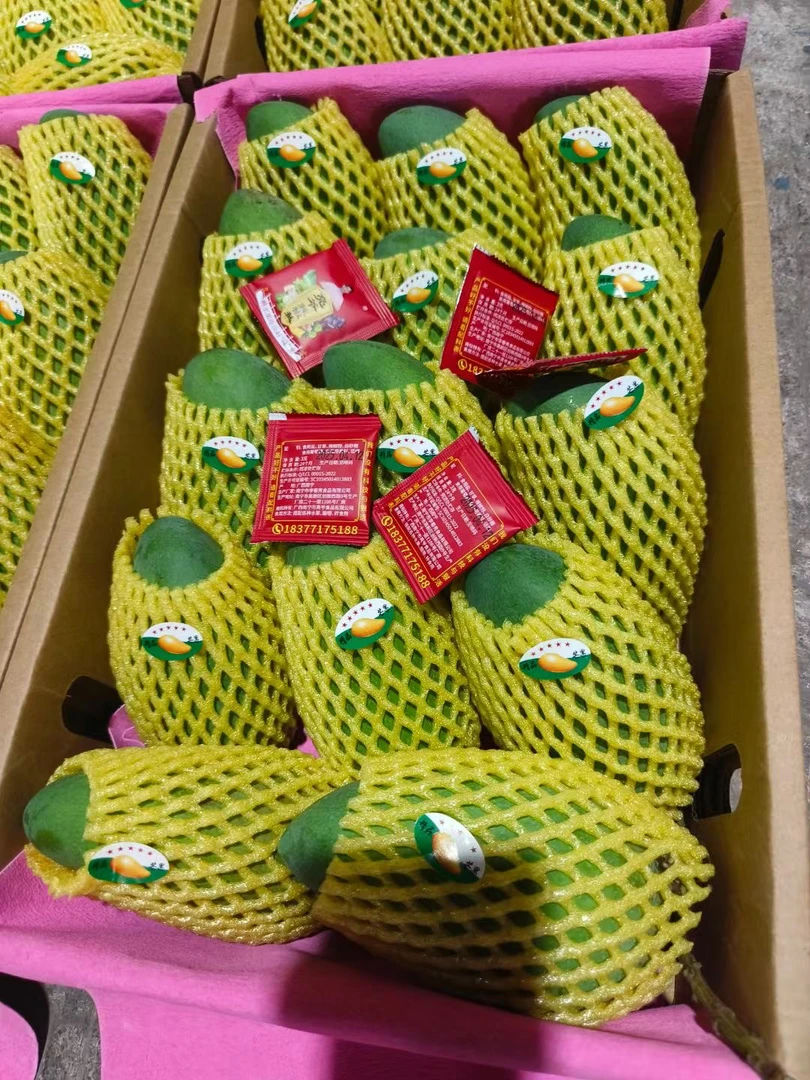 广西百色生熟两吃小金煌配椒盐当季新鲜水果甜心多汁现摘现发