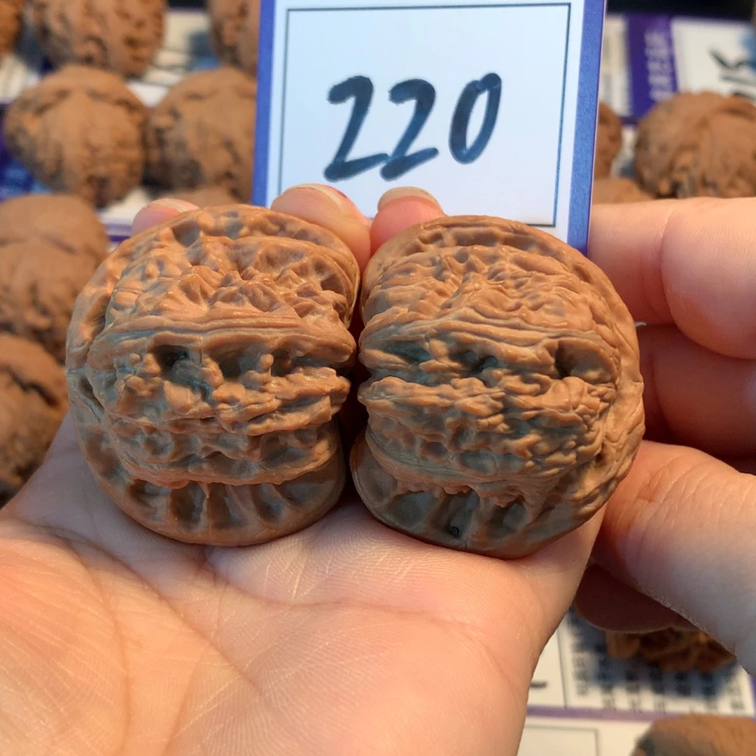 把件文玩核桃220白狮子4.3