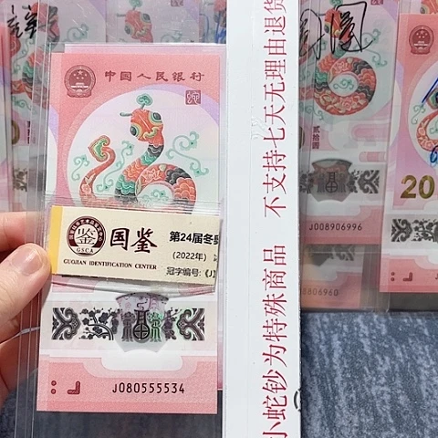 纸080555534。。。。。。。。