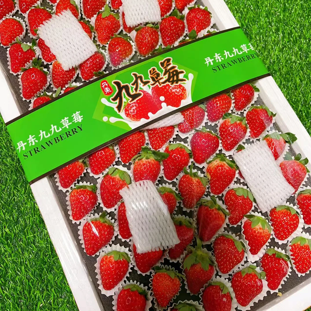 (仅限长春同城拍)正宗丹东久久大板甜草莓（轻擦伤不属售后范围）