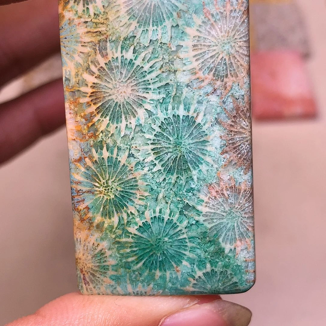 围***众硅化玉合金珊瑚玉