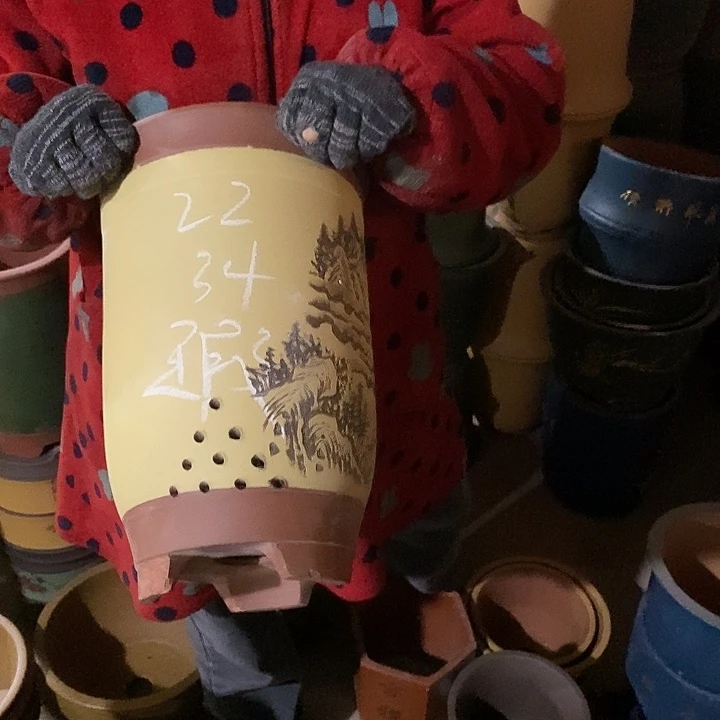 紫砂花盆紫砂花盆