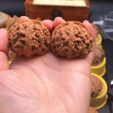 M***生核桃手串/手链43苹果园狮子头