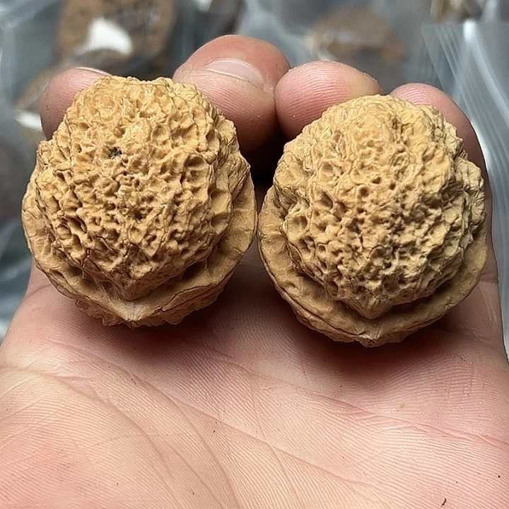 把件文玩核桃74号蚂蚁窝39尺