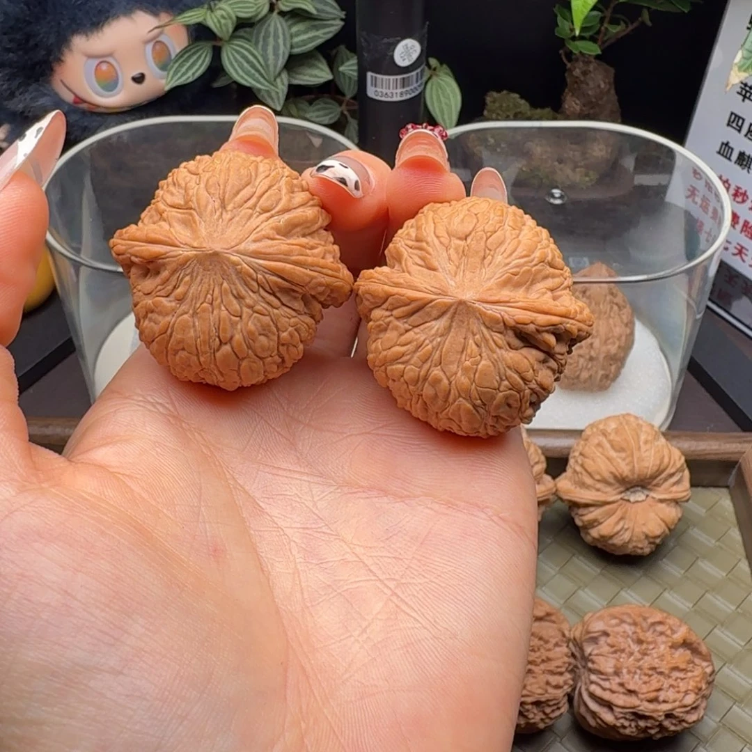 核桃全品泥鳅背40