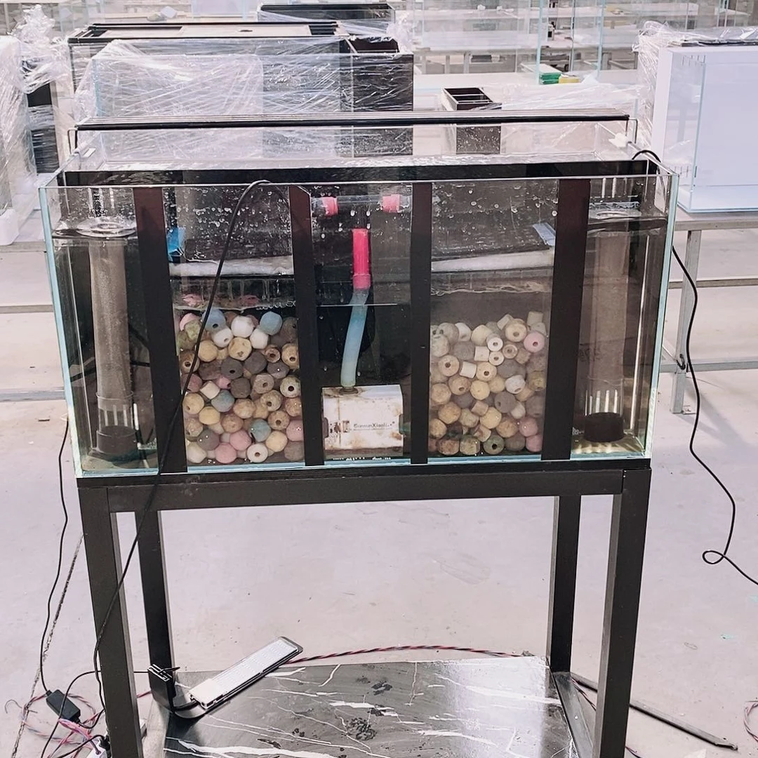 1004040背滤双进双出冬****火